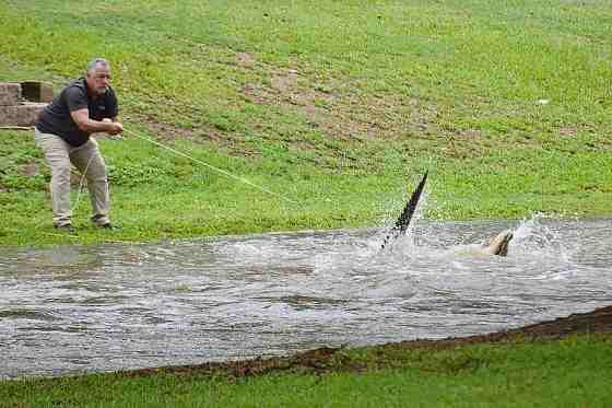 Cyclone Jasper brings floods and crocodile sightings in Australia’s northeast towns