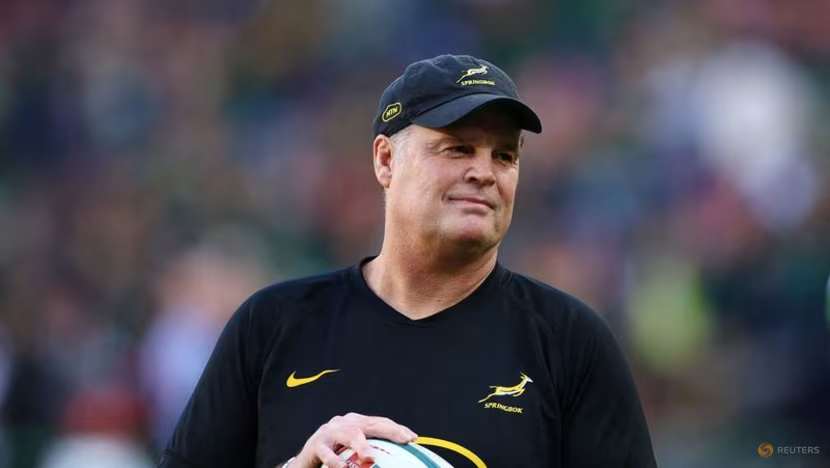 Pollard and Le Roux Back in Action as Springboks Face New Zealand